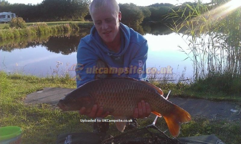 Yet Y Gors Fishery And Campsite