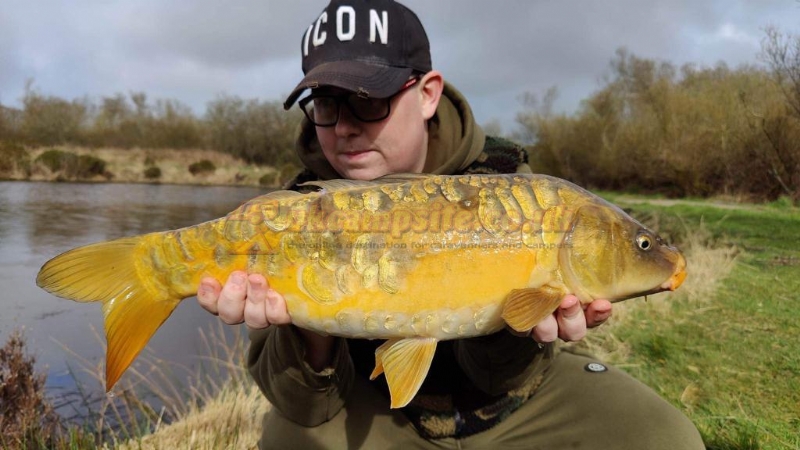 Yet Y Gors Fishery And Campsite