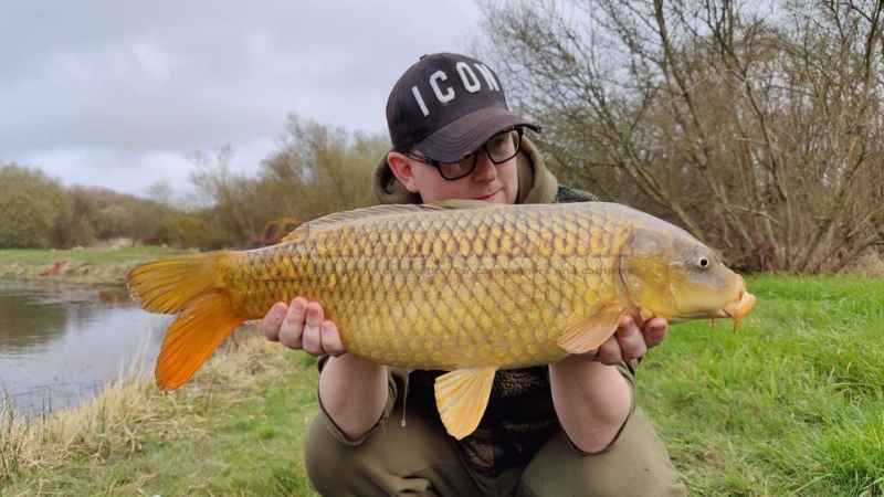 Yet Y Gors Fishery And Campsite