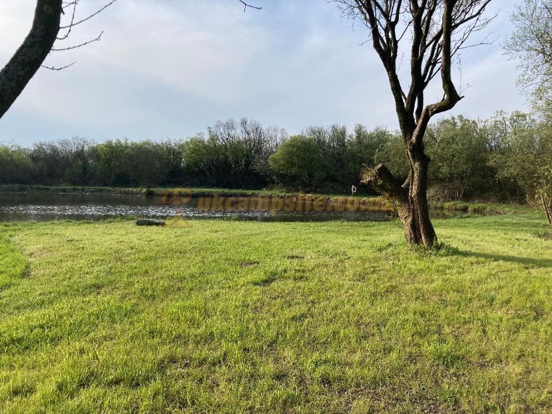 Yet Y Gors Fishery And Campsite