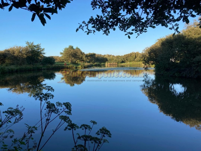 Yet Y Gors Fishery And Campsite