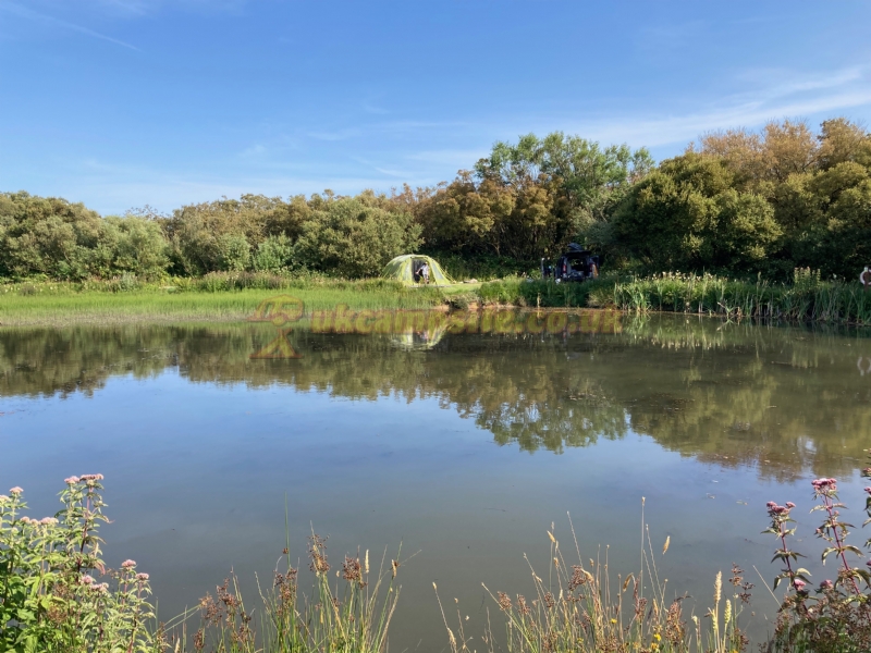Yet Y Gors Fishery And Campsite