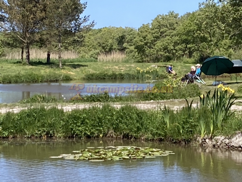Yet Y Gors Fishery And Campsite