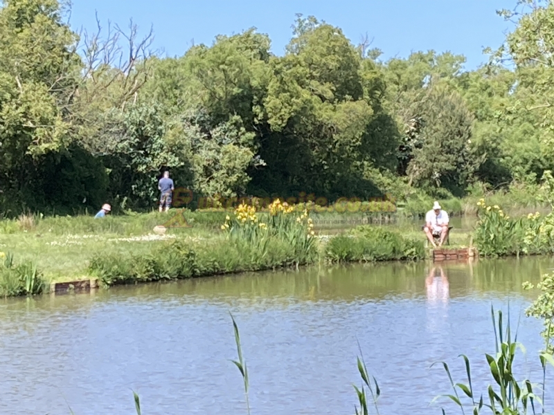 Yet Y Gors Fishery And Campsite