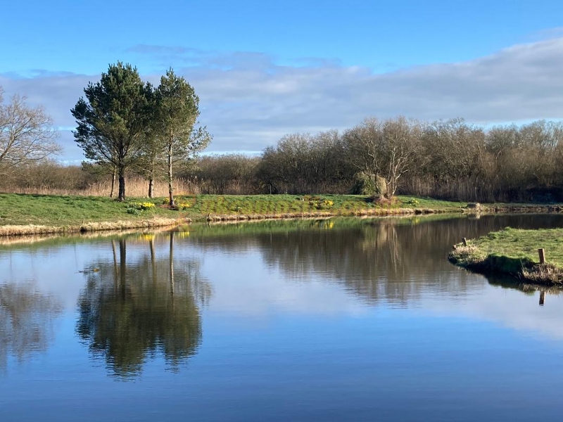 Yet Y Gors Fishery And Campsite