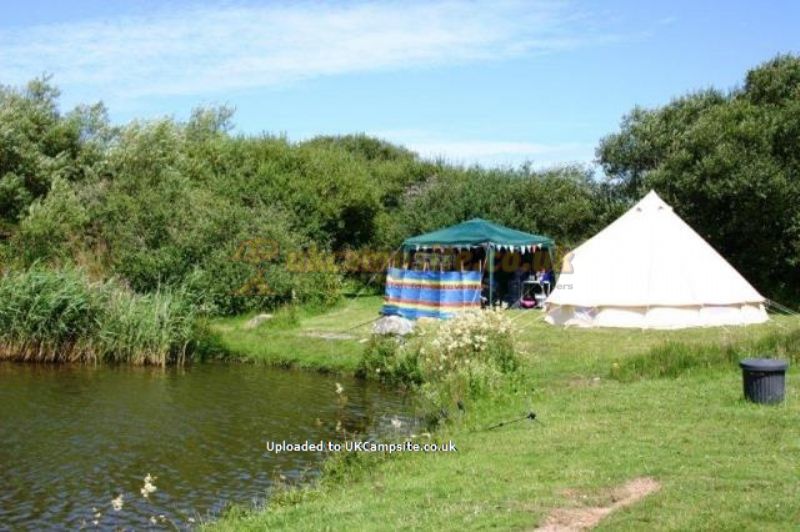 Yet Y Gors Fishery And Campsite
