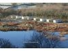 Dinas Caravan Park Campingand Glamping