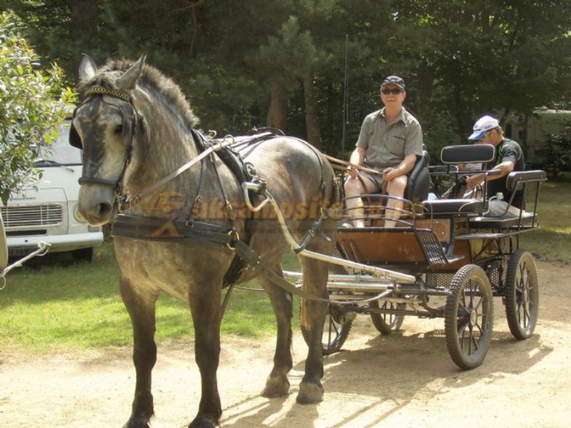 Camping Champ De La Chapelle