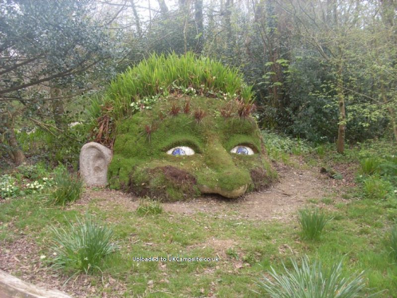 The Meadows Campsite