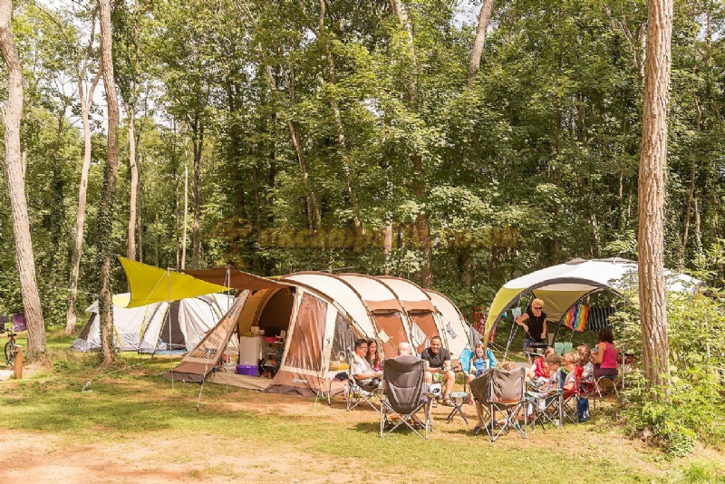 Castel Camping Le Chateau De Chanteloup