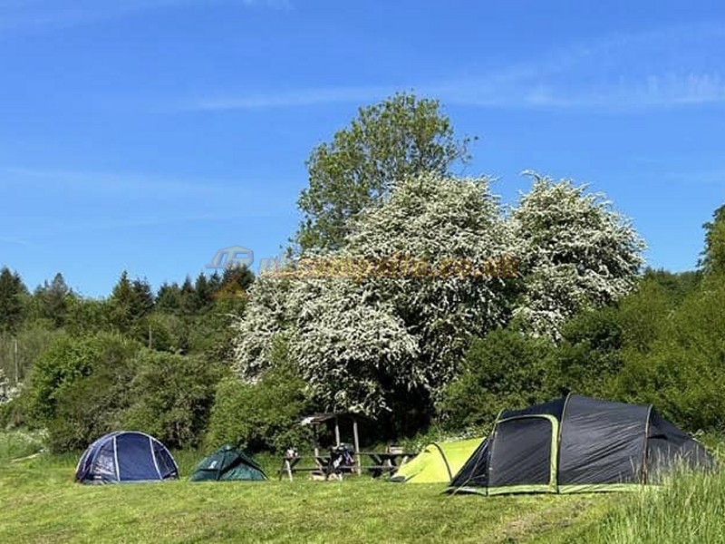 The Daneway Inn
