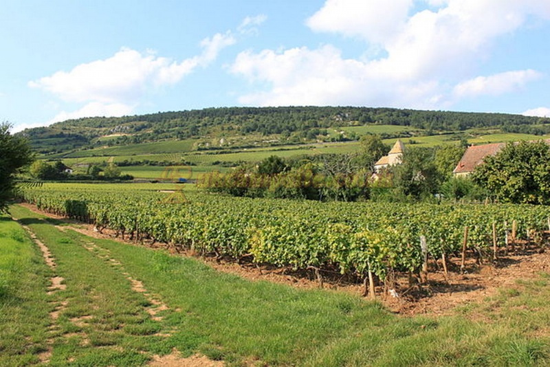 Huttopia Meursault