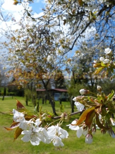 Camping Hautoreille