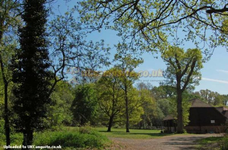 Acorns Campsite
