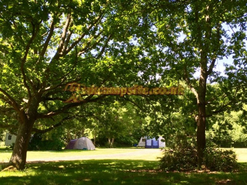 Acorns Campsite