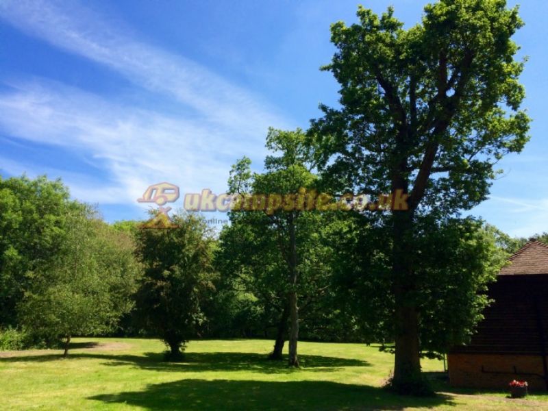 Acorns Campsite
