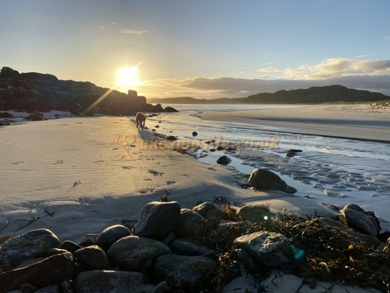 Traigh Na Beirigh ( Cnip Grazing )