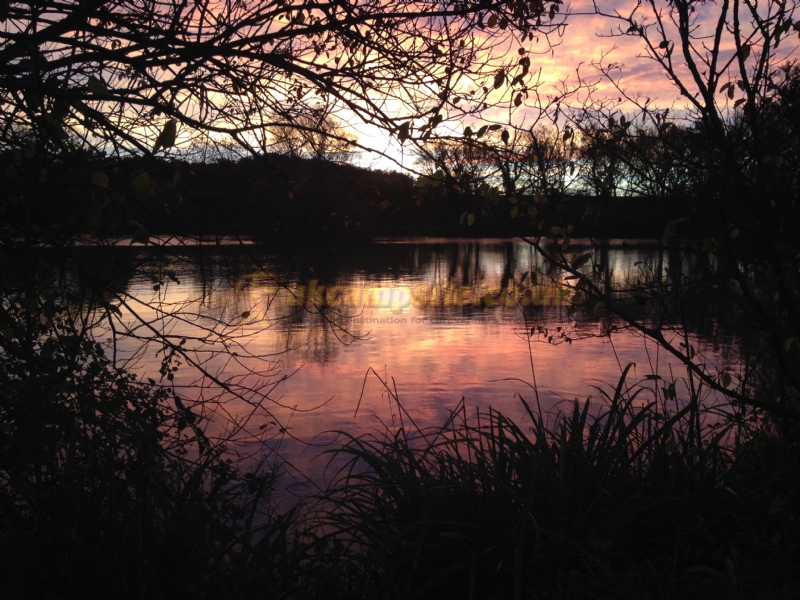 Home Farm Fishery