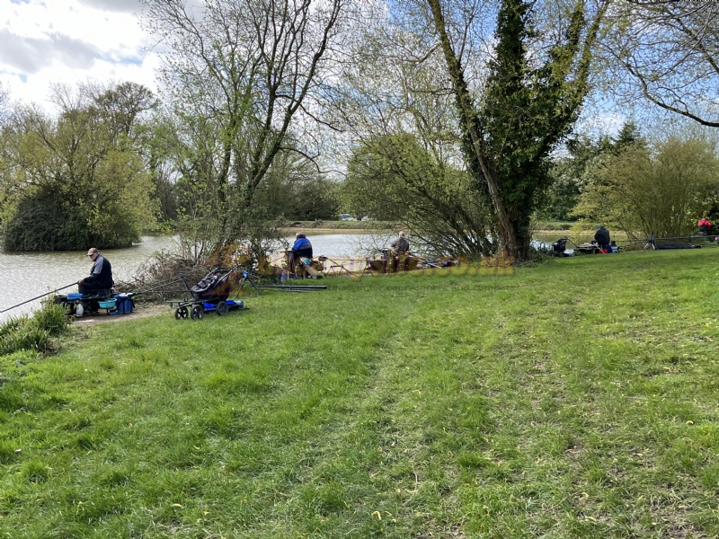 Home Farm Fishery