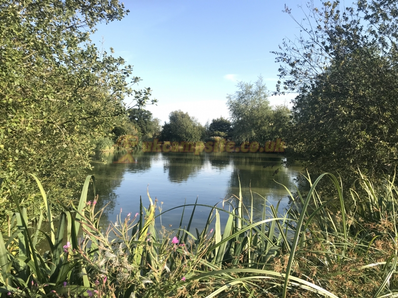 Home Farm Fishery