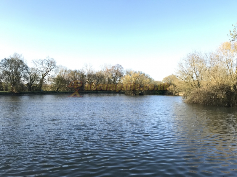 Home Farm Fishery