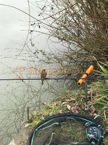 Home Farm Fishery