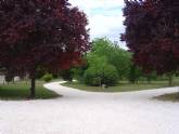 Camping Du Petit Lion