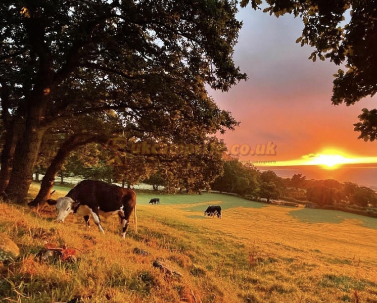Trwyn Yr Wylfa Farm Campsite