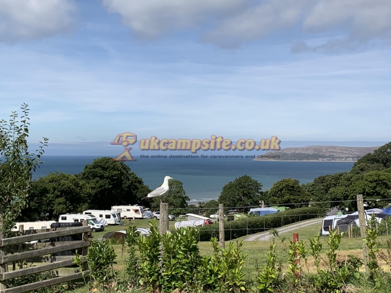 Trwyn Yr Wylfa Farm Campsite