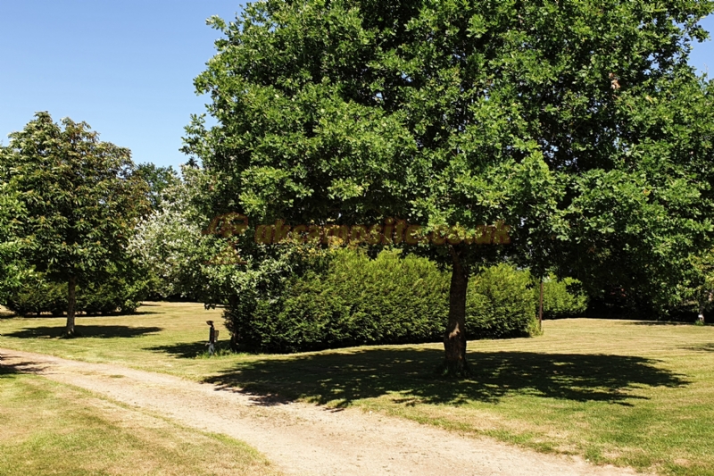 Camping Sous Les Etoiles Normandie