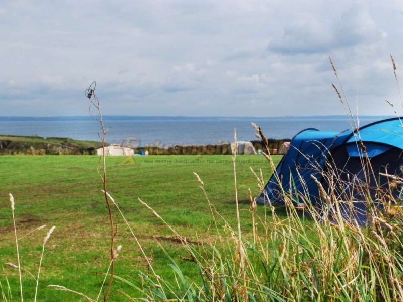 Porthclais Farm Campsite