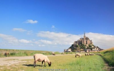Camping Haliotis Mont Saint Michel