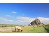Camping Haliotis Mont Saint Michel Camping Haliotis Mont Saint Michel