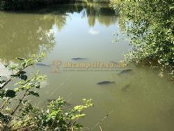 5 Ways Lakes Caravan And Camping Park