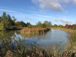 5 Ways Lakes Caravan And Camping Park