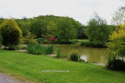 Springwood Fisheries