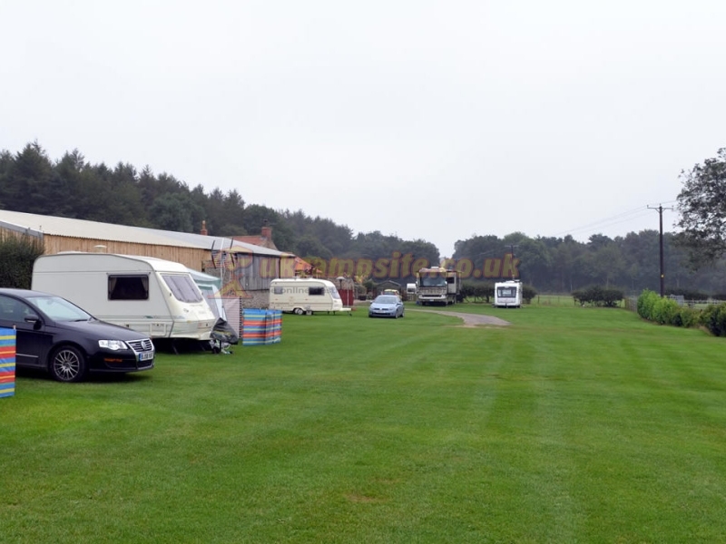 Dalby Forest Campsite