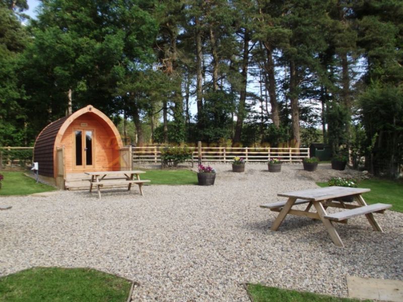 Dalby Forest Campsite