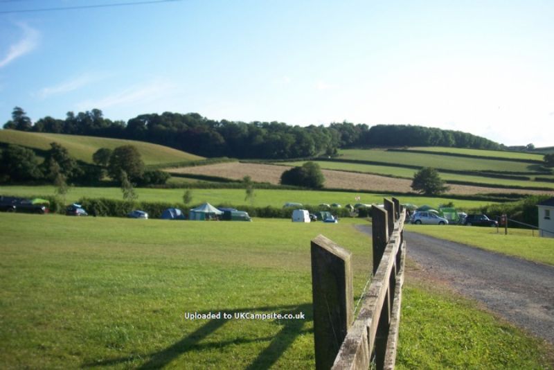 Treacle Valley Campsite ( Manor Farm )