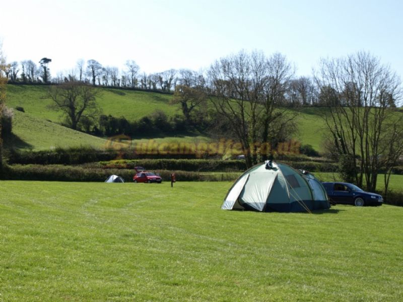 Treacle Valley Campsite ( Manor Farm )
