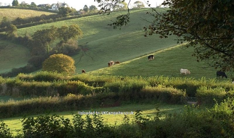 Treacle Valley Campsite ( Manor Farm )