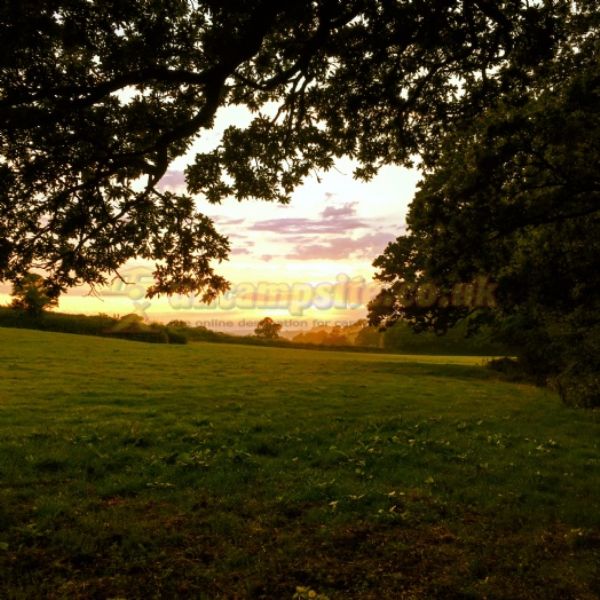 Treacle Valley Campsite ( Manor Farm )