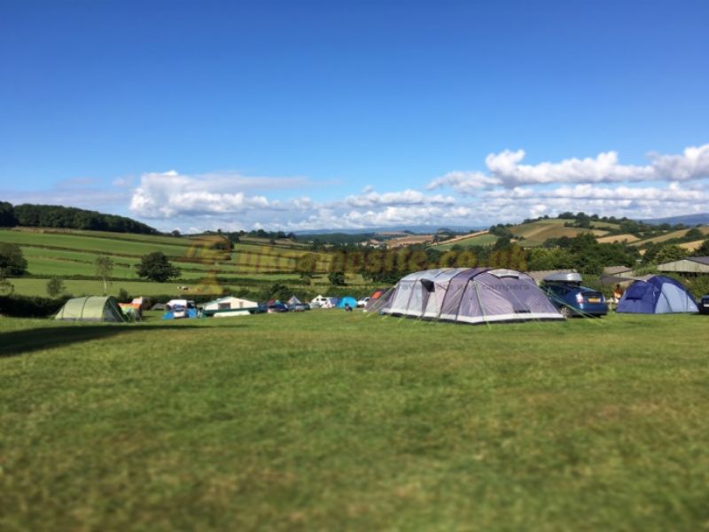 Treacle Valley Campsite ( Manor Farm )