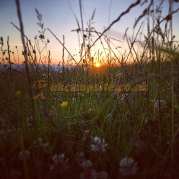 Treacle Valley Campsite ( Manor Farm )