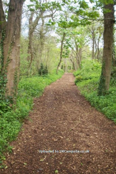 Treacle Valley Campsite ( Manor Farm )