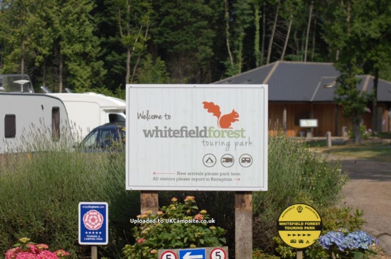 Whitefield Forest Touring Park