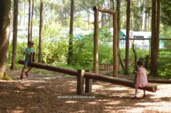 Whitefield Forest Touring Park