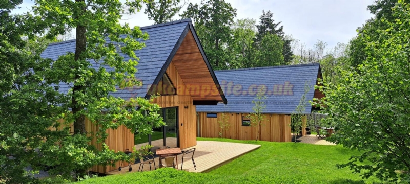 Whitefield Forest Touring Park