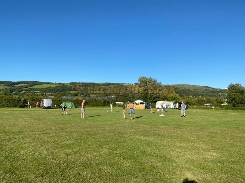 Cheddar Petruth Paddocks