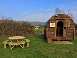 Cheddar Petruth Paddocks
